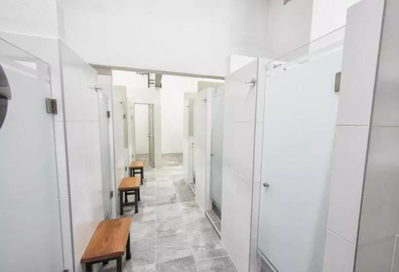 پانسیون Hostal Mich By Rotamundos