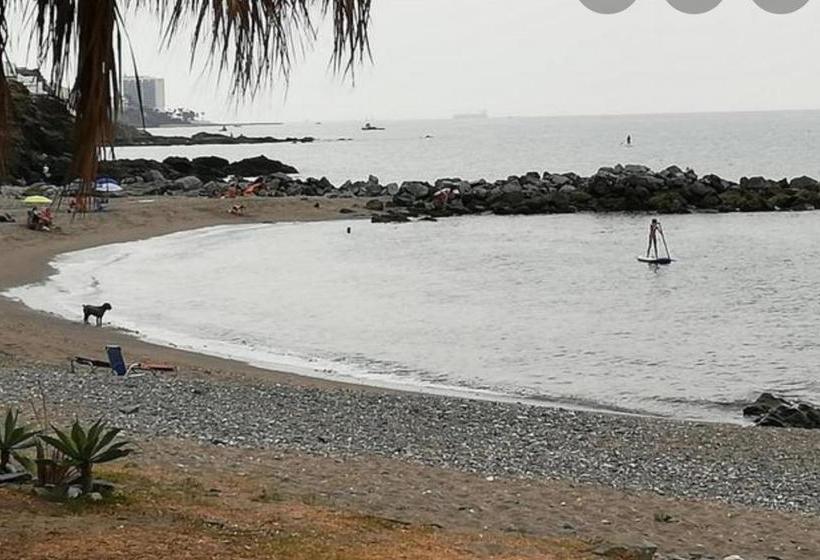 ペンション Casa Topacio