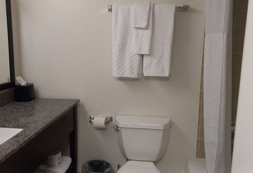 هتل Best Western Downtown Casper