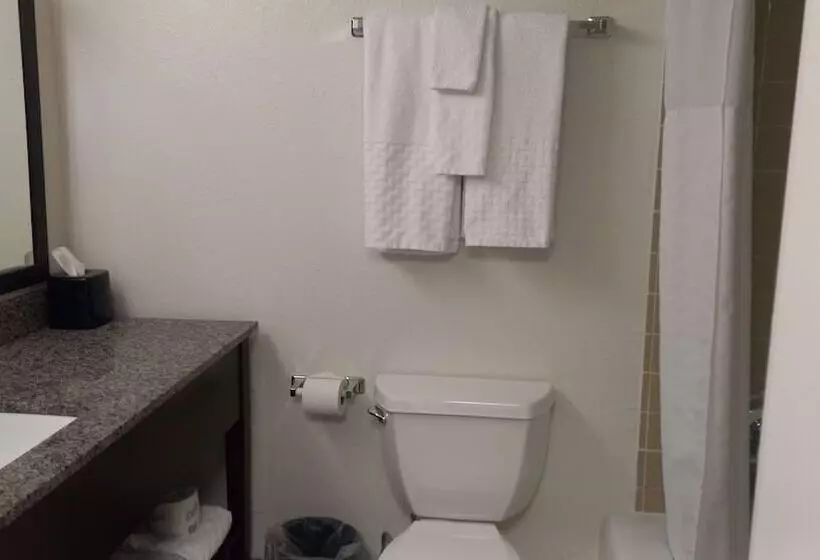 酒店 Best Western Downtown Casper