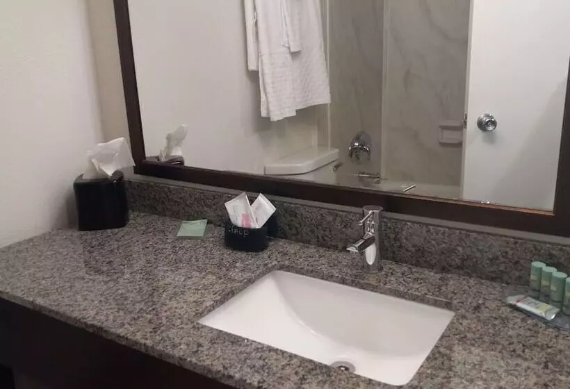 酒店 Best Western Downtown Casper