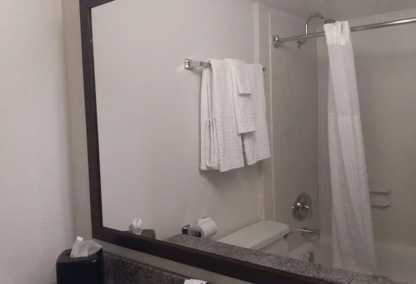 酒店 Best Western Downtown Casper