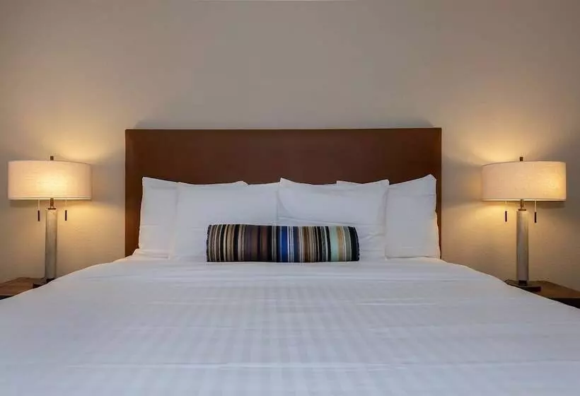 酒店 Best Western Downtown Casper