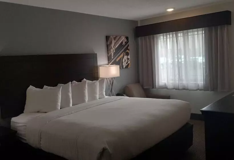 酒店 Best Western Downtown Casper