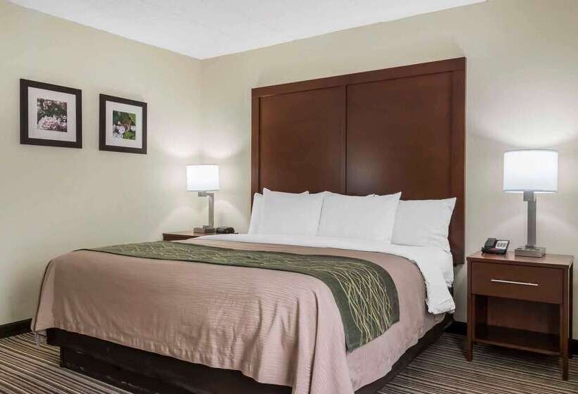 Отель Comfort Inn  Pocono Mountains