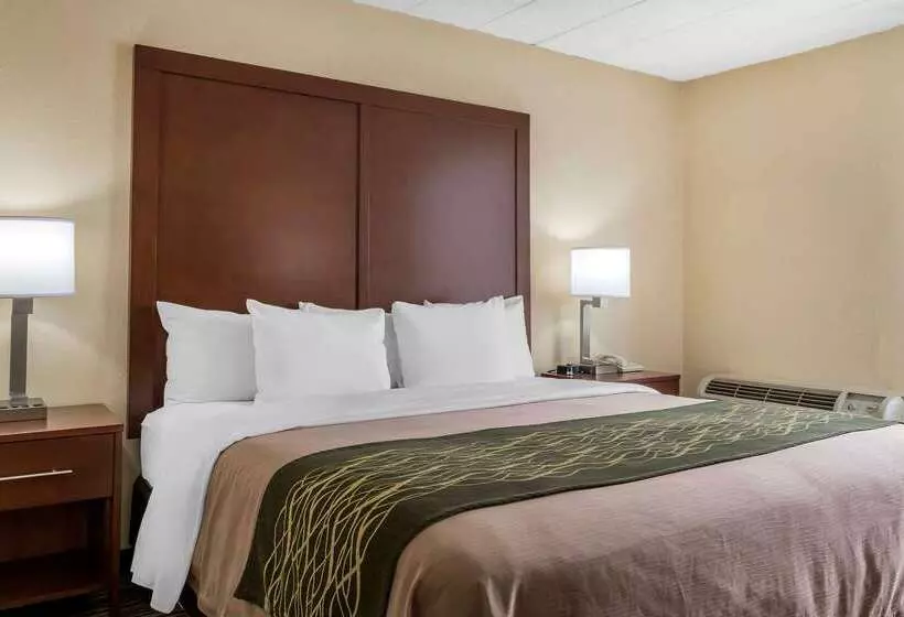 Отель Comfort Inn  Pocono Mountains