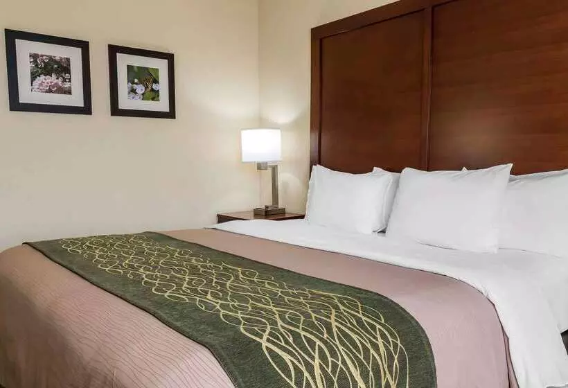 Отель Comfort Inn  Pocono Mountains