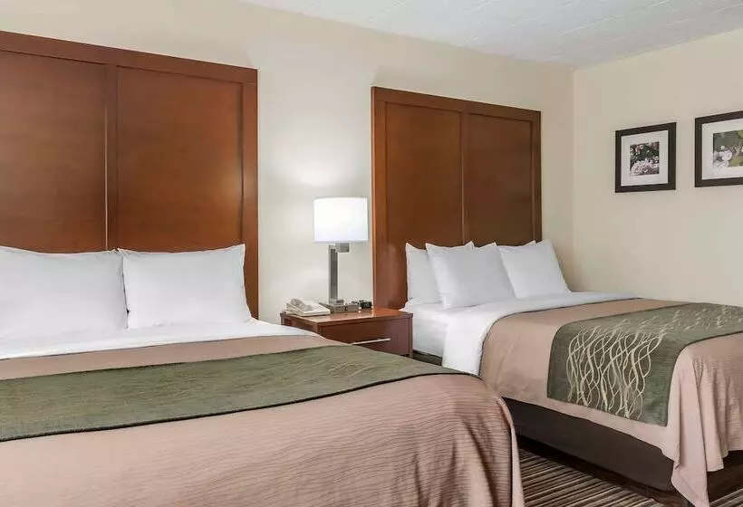 Отель Comfort Inn  Pocono Mountains