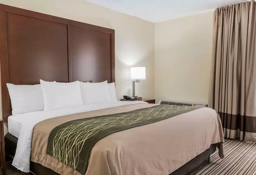 Отель Comfort Inn  Pocono Mountains