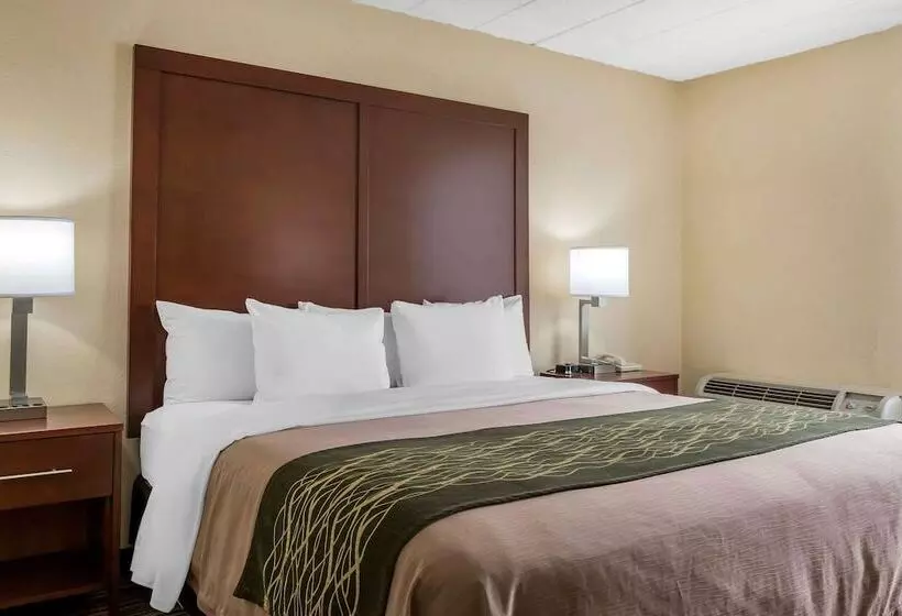 Отель Comfort Inn  Pocono Mountains