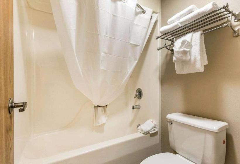 فندق Econo Lodge Inn & Suites Branson Shepherd Of The Hills Expy