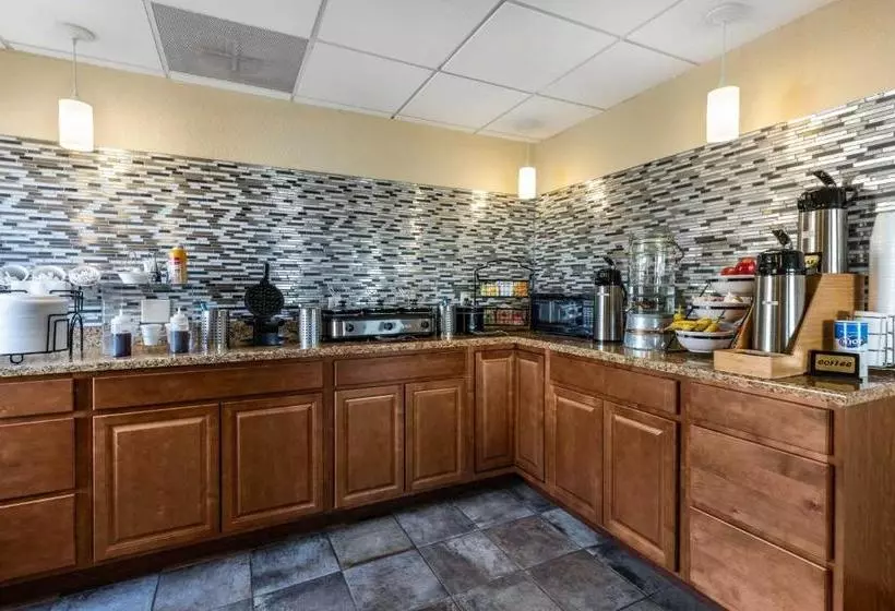 酒店 Econo Lodge Inn & Suites Branson Shepherd Of The Hills Expy