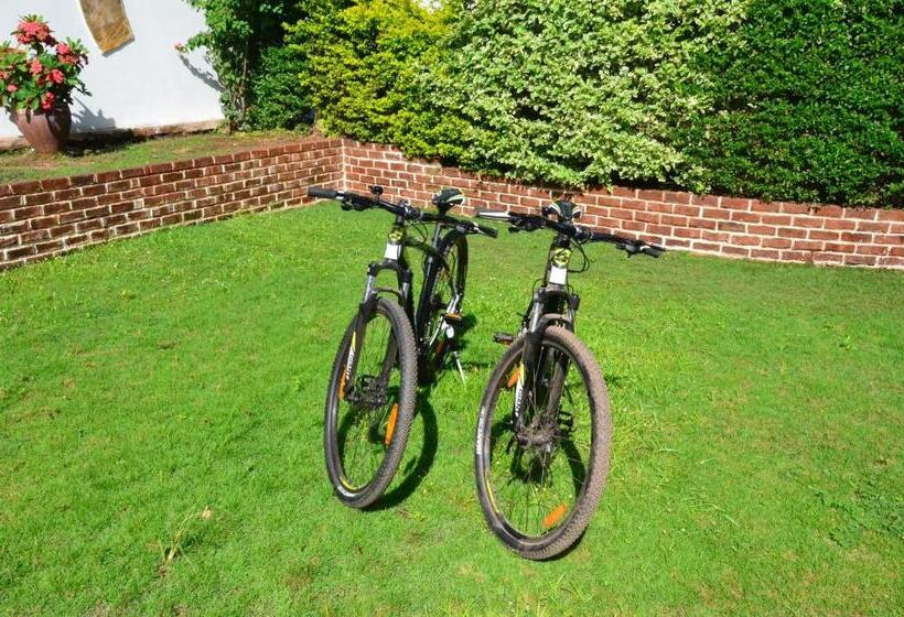 הוסטל Barazani Garden Villa