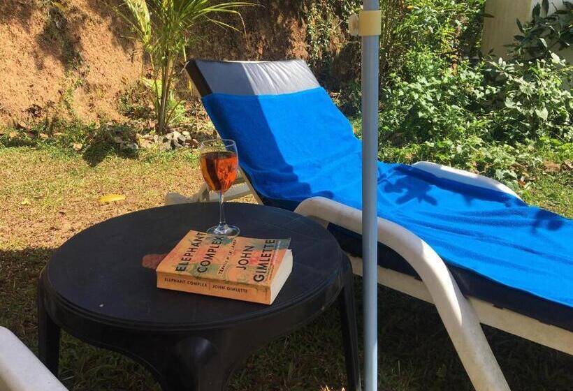 Bed and Breakfast Serendipity