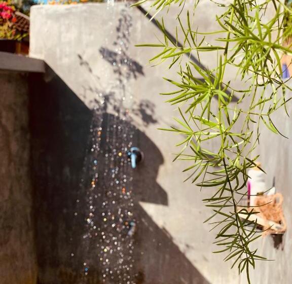 Bed and Breakfast Serendipity