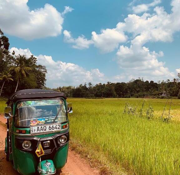 Bed and Breakfast Serendipity