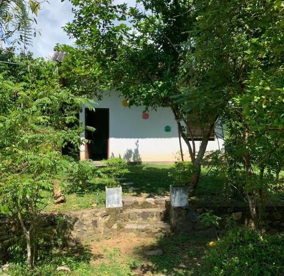 Bed and Breakfast Serendipity