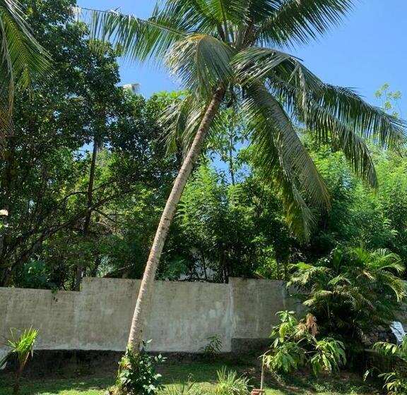 Bed and Breakfast Serendipity