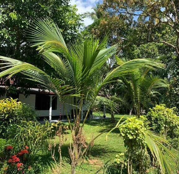 Bed and Breakfast Serendipity