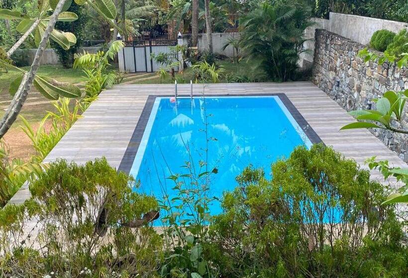 Bed and Breakfast Serendipity