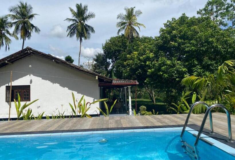 Bed and Breakfast Serendipity