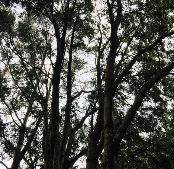 هتل Centro Recreacional Nercon Patrimonial