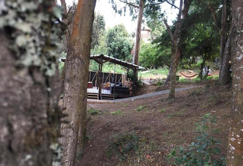 هتل Centro Recreacional Nercon Patrimonial