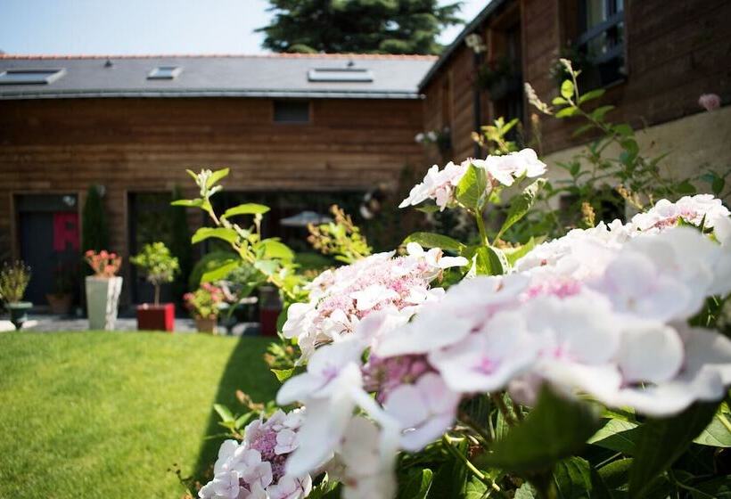 تختخواب و صبحانه Madeleine Et Cie