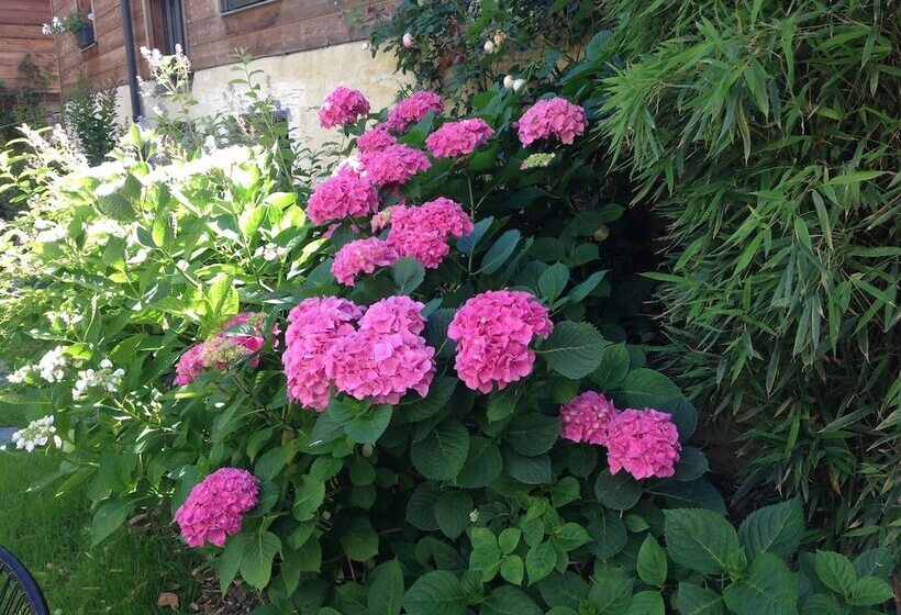 تختخواب و صبحانه Madeleine Et Cie