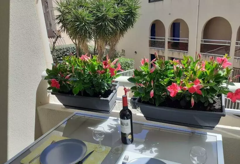 Les Jardins Du Port De Bandol