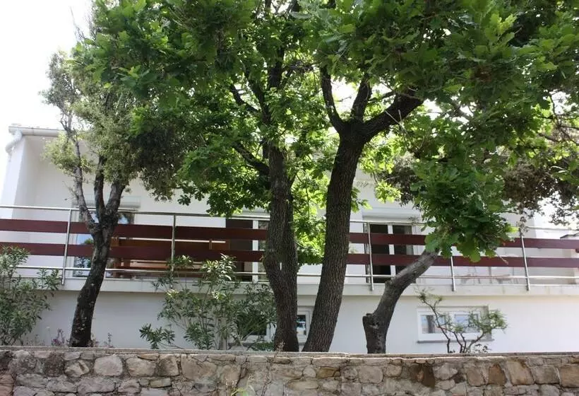 Pintar Apartment