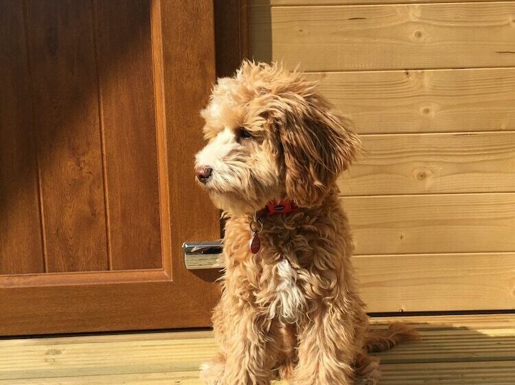 Отель Southwell Retreat Glamping Pods