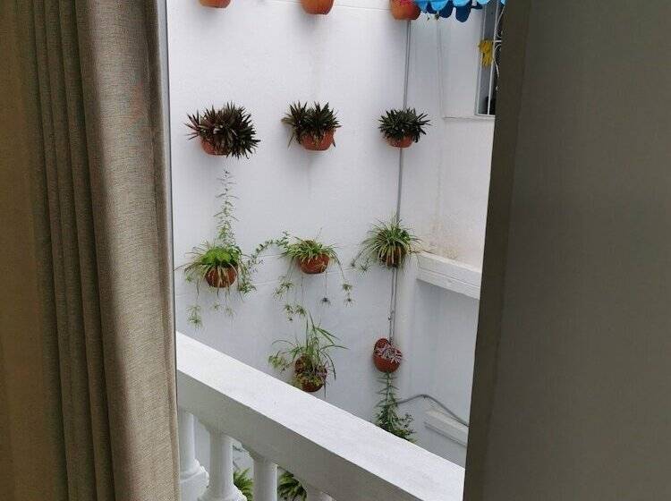 هاستل Luka Cartagena