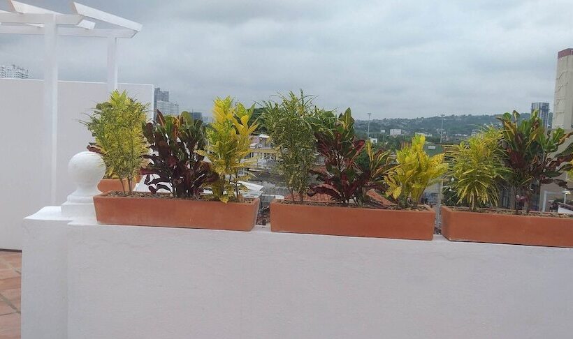 هاستل Luka Cartagena