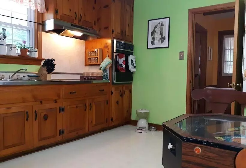 تختخواب و صبحانه A House Full Of Steel Balls And Games