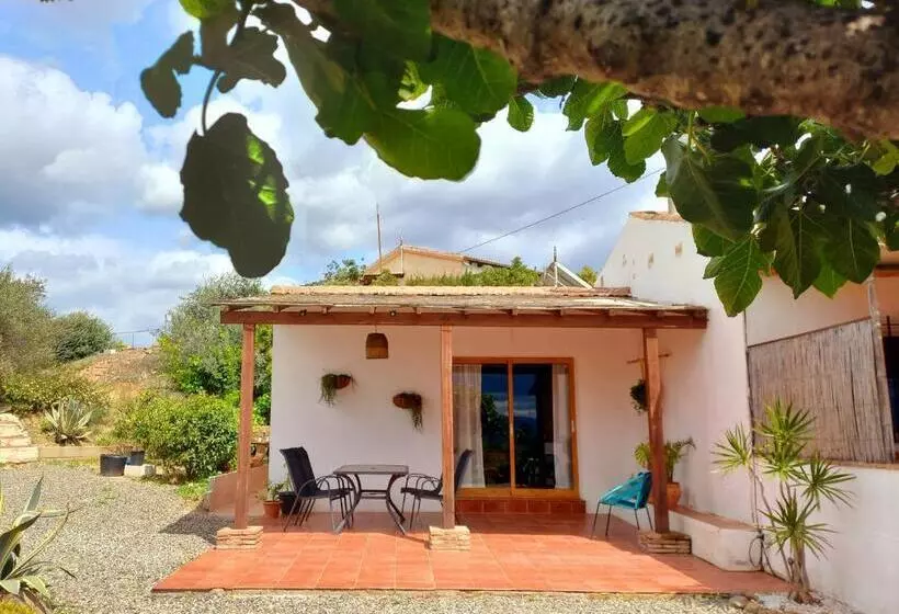 Aamiaismajoitus (B&B) Casa De La Vida Málaga
