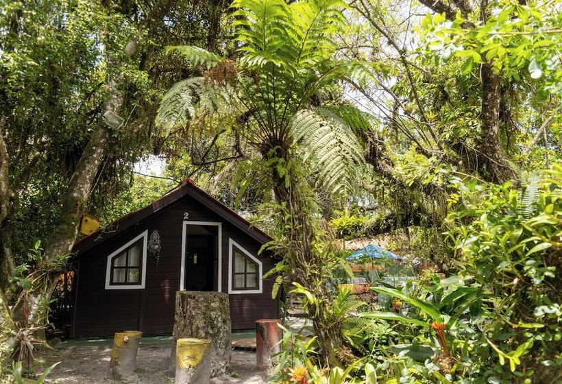 Otel Pousada Orquídeas