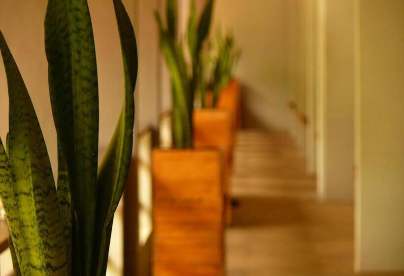 Szálloda Javacove Beach