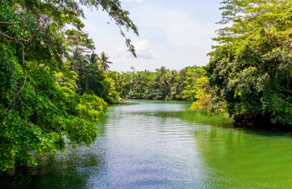 Szálloda Javacove Beach