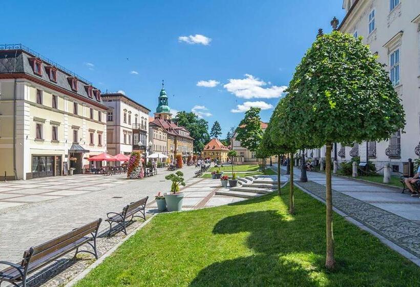 Отель Sp Zoz Sanatorium Uzdrowiskowe Mswia Agat