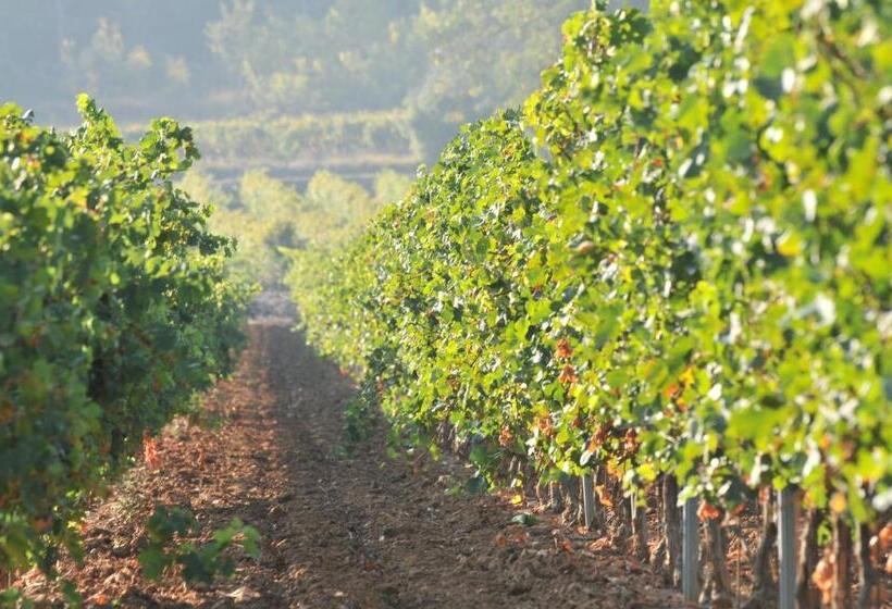 Пансион Chateau De Sainte Croix