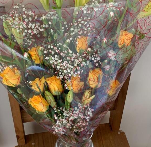 酒店 Willows Guest House