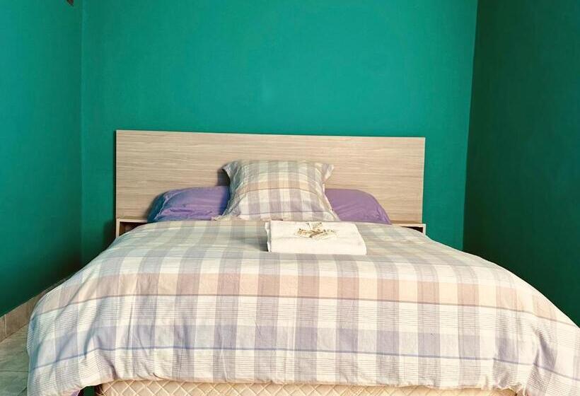 فندق Amancay, Hostal Patagonico