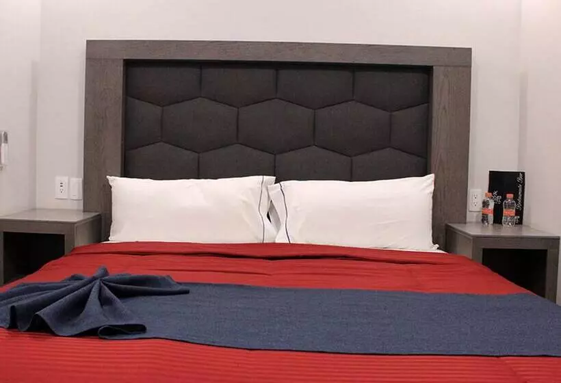 ホテル Anb Aeropuerto Guadalajara