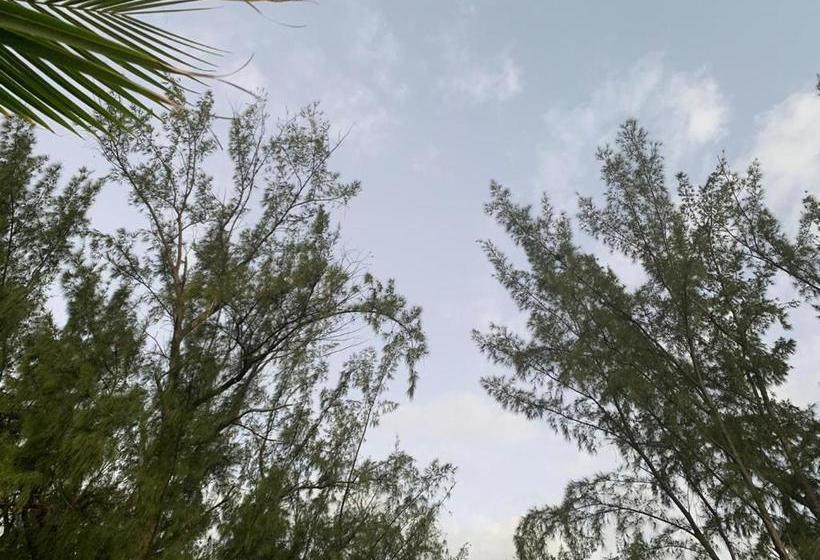 Hotelli Escale Vacances