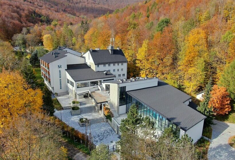 ホテル Magnus Resort