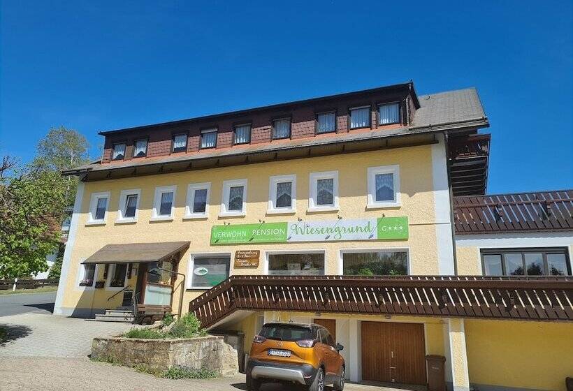 酒店 Verwöhn Pension Wiesengrund