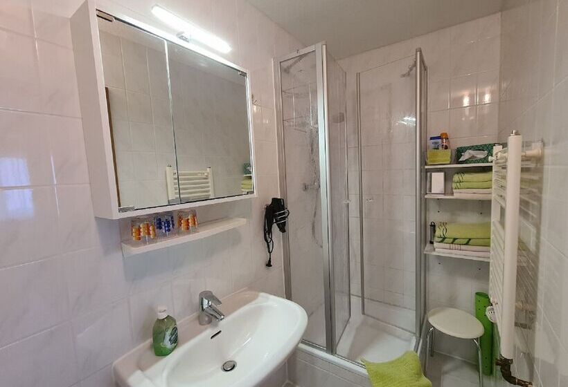 酒店 Verwöhn Pension Wiesengrund