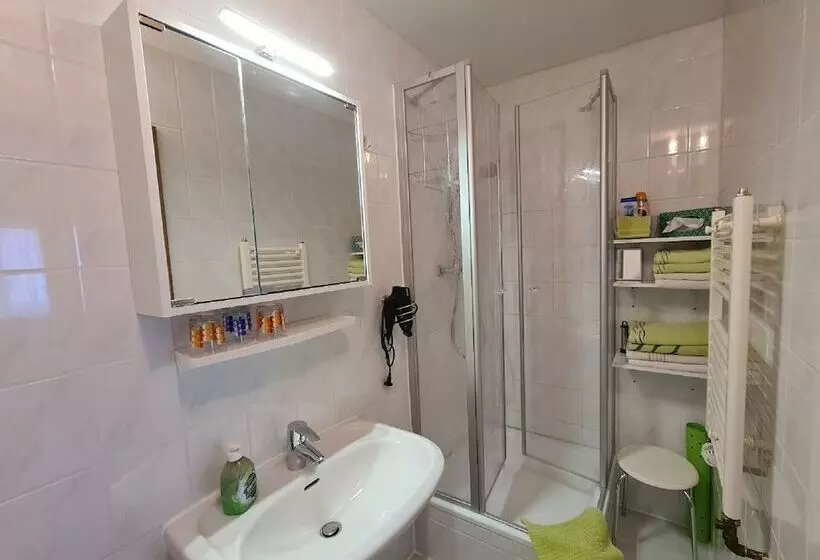 ホテル Verwöhn Pension Wiesengrund