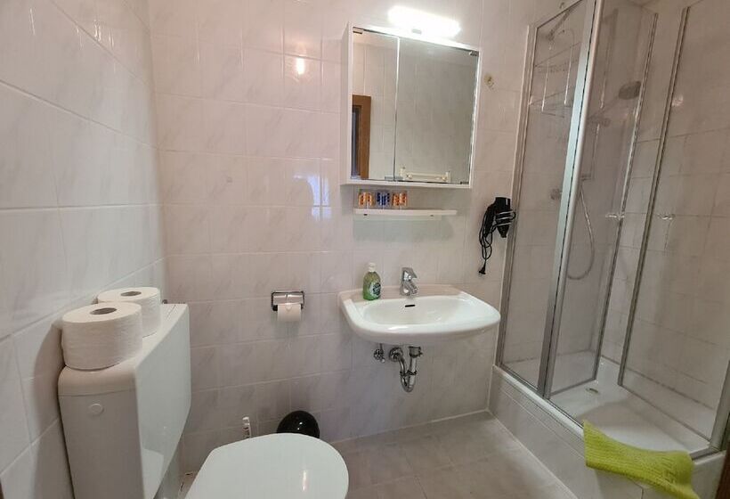 酒店 Verwöhn Pension Wiesengrund